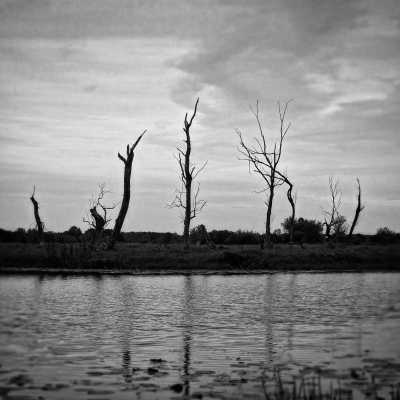 Poland - Serocka - Discover the Charms of Polish Nature and Become Your Own Superhero