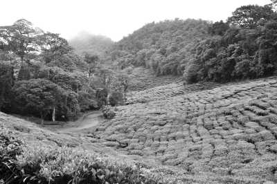 Colombia - El Moral Nature preserve - Colombia - Medellín Reborn: Culture, Wilderness & Wonder - 2