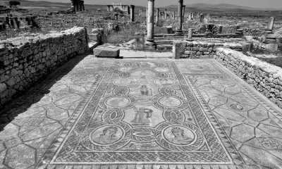 Marokko - Conservation du site Archéologique de volubilis - Discover the Hidden Gems of Fez: A Journey Through Morocco's Cultural Capital - 7