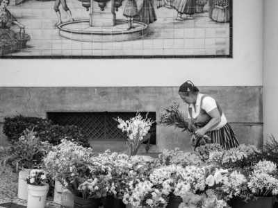 Portugal - Funchal - Madeira 360° 🇵🇹 Roadtrip in the European’s Hawaii staying in an ocean villa and swim with the dolphins in Portugal 🐬 - 2