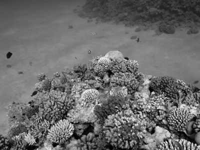 Ägypten - Hurghada - Kitesurfen, Weihnachten und Silvester feiern in Hurghada - 2