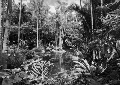 Ghana - Aburi Botanical Garden - Getting around Ghana like a local!