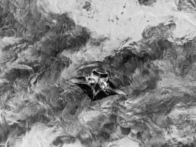 Indonesien - Manta Point - 8 Day 7 Night Adventure explore nature & Balinese culture - Explore Ubud, Nusa Penida with Manta and Natural Vulcano Batur