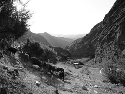 Kyrgyzstan - Karakol - Natur pur in Kirgistan - 8