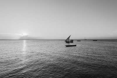 Tanzania - Matemwe - Adventure in Zanzibar, Tanzania with a Local Expert - 1