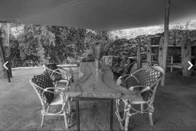 Tansania - Serval Wildlife - Serengeti Dreams: An Unforgettable Safari with Hot Air Balloon Magic - 2