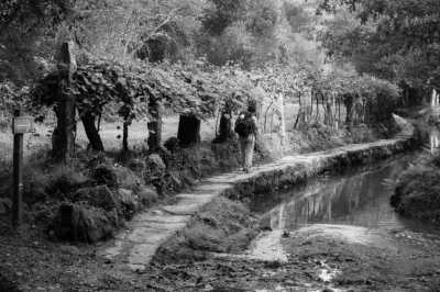 Southern Europe - Santiago de Compostela - Embark on a Pilgrimage: Walking the Portuguese Camino Together - 5