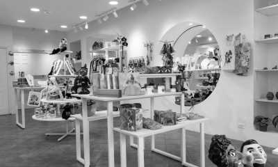 Costa Rica - Monteverde Cloud Forest Biological Preserve - Majestic Adventures in Costa Rica: Beaches, Volcanoes, Hot Springs, Cloud Forest, and Pura Vida Lifestyle! - 5