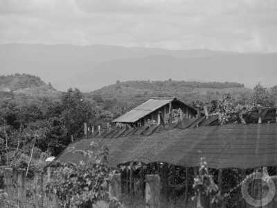 South-eastern Asia - Krong Kampot - 🇰🇭 Kambodscha - Budget Backpacking Trip durch Kambodscha incl. Angkor Wat 🏯 Pfefferplantagen 🌿 & Inselwelten 🌅 - 2
