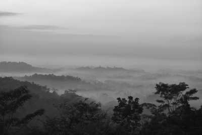 Indonesia - Ketep - Experience the Best of Borobudur and Hike Mt. Merbabu in 5 Days - An Outdoor Adventure in Indonesia