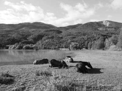 Argentina - El Hoyo - Majestic Horse Riding Adventure,"Eye To Eye with the Condor" - 2