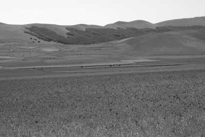 Italy - Castelluccio - Embrace the Soul of Central Italy: A journey through Picturesque Cities, Flavors and Colors! - 1