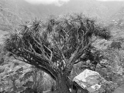 Welt - Vale do Paúl (Paul Valley) - Inselüberquerung Santo Antao (Kapverden) - 3
