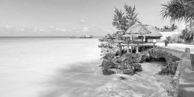 Kenia - Mombasa Marine Park - Road Trip and Holiday Escapade In Kenya (Mombasa and Watamu) for 10 days - 1