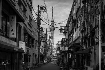 Japan - Tokyo - Rising Sun Odyssey: Exploring Japan's Timeless Charms 🎋 Tokyo🗼Fuji 🗻 Kyoto 🎎 Nara 🦌 Osaka 🏯 Hiroshima - 1