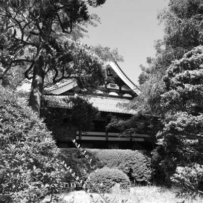 Japan - Koyasan - Spring in Japan:  2 wks Adventure for Cherry Blossom Seekers - 2