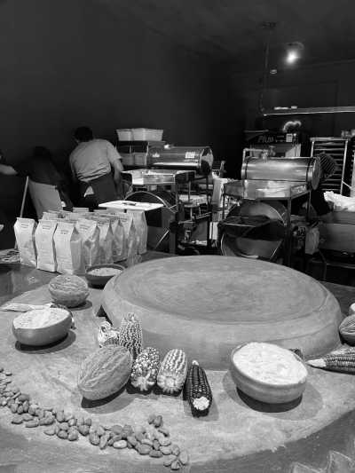 Mexico - Monte Albán - Unveiling OAXACA Mexico: A 7-Day Gastronomy, Culture, and Crafts Adventure for Women - 2