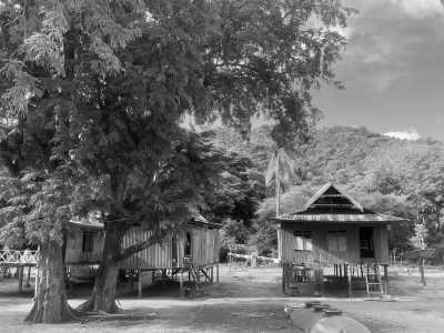 Indonesia - Rinca Komodo Travel - Social Project Trip and Exploring Komodo National Park, Island Hopping and more from Indonesia - 8