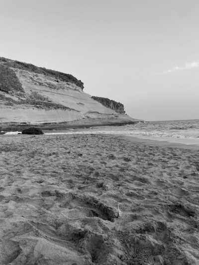 Spain - Costa Adeje - Carnaval & More 🥁🌴  Let's enjoy Tenerife's nature, mountains and beaches during the day, and party at the biggest Carnaval of Europe on various evenings 💃🏽 - 2