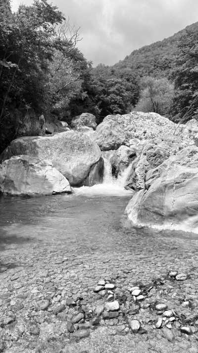 Georgien - Gamoghma Nogha - Roadtrip durch Georgien / Imeretien - 2