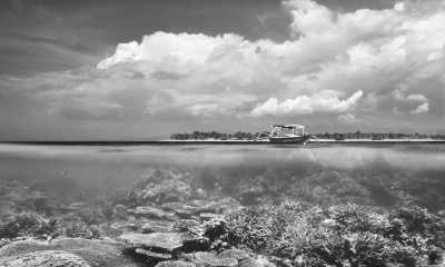 Indonesia - Gili Trawangan - Lombok, Indonesia 3 Gili Islands Excursions, Cheers and Relaxing ☀️ - 8