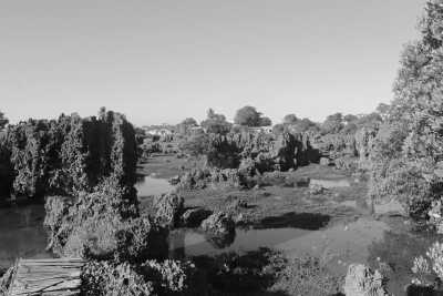 Kenya - Wasini Island - Kenya Uncovered: Dive into the Beauty of Mombasa Coastal Gem! - 1