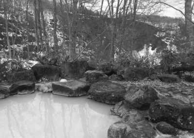 Japan - Tsubame Onsen - 🇯🇵Japan Trip To The Future :Food, Culture, Snow & Wildlife - 2