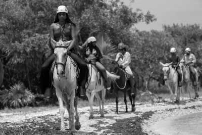 Dominican Republic - Bavaro Adventure Park | Punta Cana Tours & Excursions - The absolute Tropic Getaway, Zipline, Waterfalls, Monkeys and Massages, Punta Cana - 1