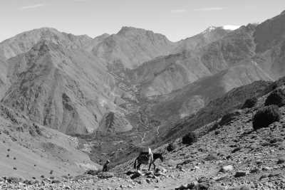 Morocco - Tizi Trekking - Treasure Hunt: Hiking, Nature and Healthy Diet in Toubkal Region, Morocco, Charming Hotel All Included - 1