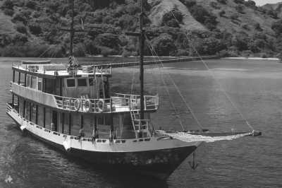 Indonesien - Nationalpark Komodo - *Returning Tripmates only* A Thrilling Tour to Indonesia's Most Beautiful Islands: Unforgettable Liveaboard Experience, Seaside Glamping and Relaxation in a Beachfront Villa (INDONESIA TRIP - PART I) - 8