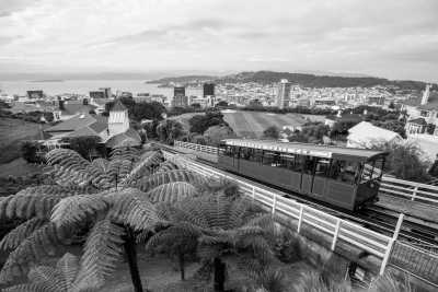 Neuseeland - Wellington - 🌋 Explore New Zealand: Scenic Wonders Road Trip Adventure! - 1