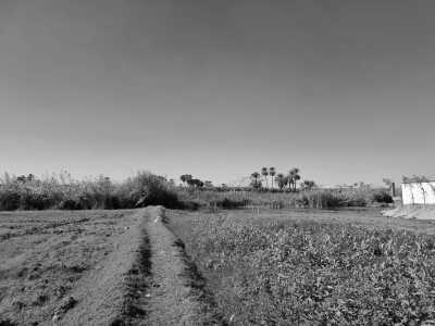 Ägypten - Luxor - Von Hurghada durch die Wüste nach Luxor, das alte Theben an der Lebensader Ägyptens - 3