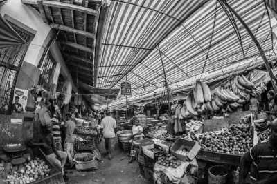 Kenya - Lamu - Wild adventure in Mara and Sandy in Lamu, Kenya 🐘 - Private sharing room (fits 2 pax)