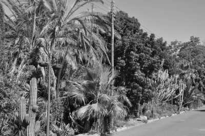 South Africa - Stellenbosch - Last Minute am Kap: Das Kap, der Wein, gutes Essen und der Rooibos - 4