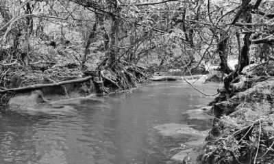 Indonesien - Daram - Raja Ampat YOGA Liveaboard Escape to Explore the 5 Great Magical Diving Spots - 2