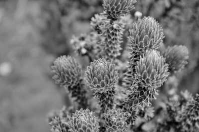 Ecuador - Ambato - Ecuador Adventure Trip to Ambato, Baños and Puyo! - 4