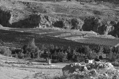 Libanon - Deria - Discover Lebanon's Coastline from Beirut to Batroun - 23