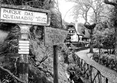 Portugal - Levada do Caldeirão Verde - 🌅 The Hawaii of Europe: MADEIRA! 🌤️ Private Authentic Thatched Farm Villa, Hiking, Wine Tasting, Beaching and Vibes!! - 2