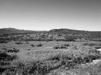 Subsahara-Afrika - Namaqualand - Expedition Kapstadt - Namibia - Victoria Falls