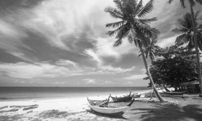 Thailand - Unplug in Thailand's Paradise: Devices Less and More Human Interactions☺️❣️with Volunteering, Muay Thai, Diving and Many More (with Private room) - JoinMyTrip