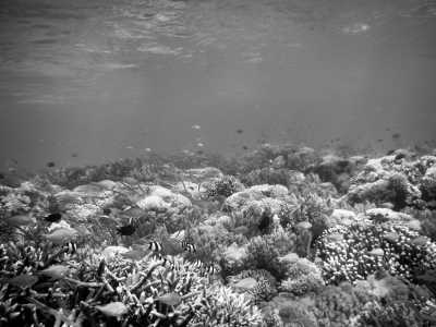 Indonesia - Gili Kondo - Lombok Islands - Hills, 5 Gili Islands, 4 Beaches, Beautiful Waterfalls, Culture Experiences, Mandalika Circuit! - 2