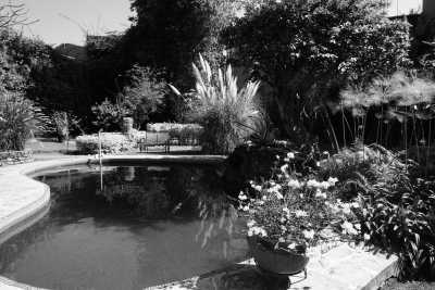 Mexico - Cuernavaca - Mexico 🇲🇽 Adventure Trip Explore Mexico like a local - 4