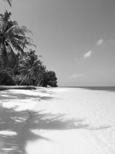 Eastern Africa - Paje - 🌍 KENYA & ZANZIBAR through Safari and Paradise beaches - 1
