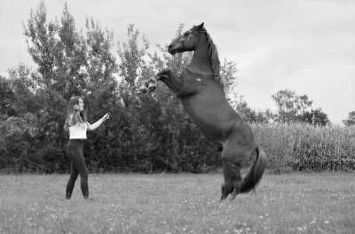 Romania - Barajul Gura Riului - Wanderritt Transsilvanien, Rumänien - 1