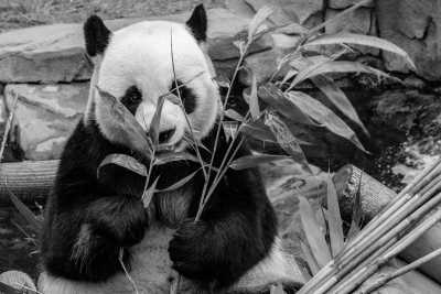 Korea, Süd - Seoul - 9-Day Quest in South Korea: Unravel Beauty Secrets and Cultural Nuances in Seoul & Busan! - 8