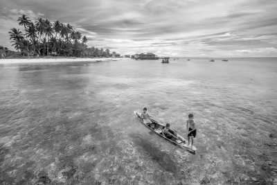 Indonesia - Labuan Cermin - Swimming with Whaleshark, stingless JellyFish, MantaRay at Derawan Islands, East Kalimantan, Indonesia - 2