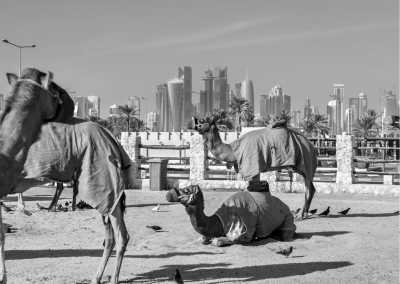 Qatar - Souq Waqif - Dazzling Doha: Discover the Magic of Qatar's Vibrant Capital! - 2