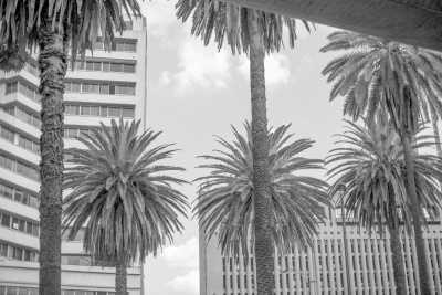 Colombia - Laureles - Coworking and Coliving: Work, Explore and Connect with Creatives in Medellin, Colombia.