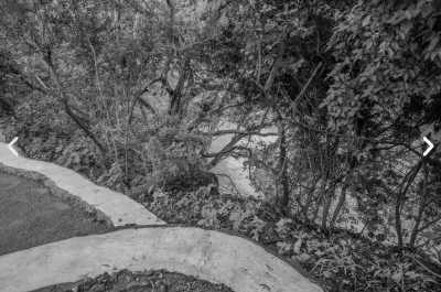 Tansania - Serval Wildlife - Serengeti Dreams: An Unforgettable Safari with Hot Air Balloon Magic - 3