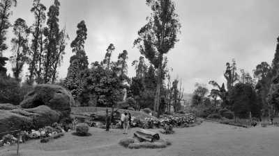 India - Kodaikanal - Ancient South India: Experience the Exotic Ancient Temples and Enticing Hills of Tamilnadu - 19